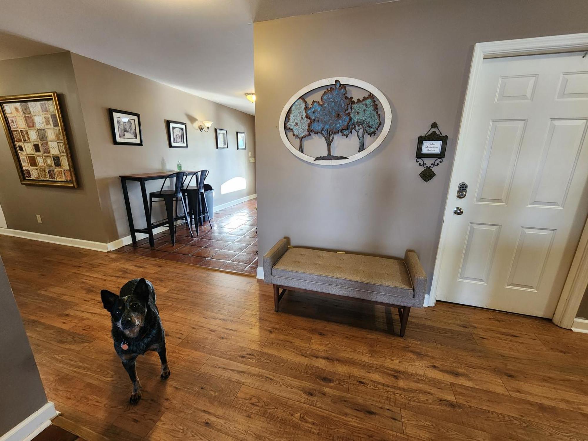 Elder Mountain Room At Tennessee Riverplace ชัททานูกา ภายนอก รูปภาพ